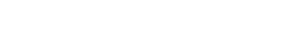 Travel VN